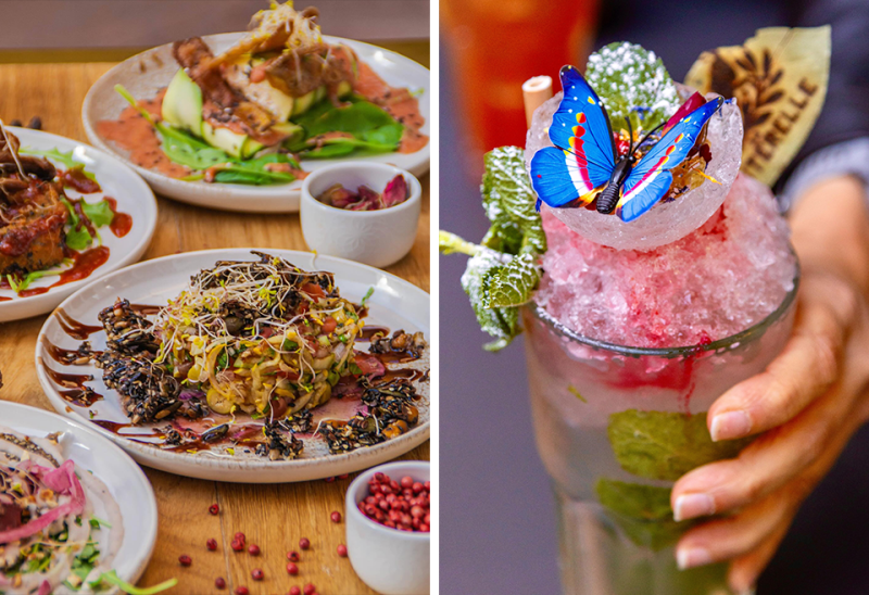 La Sauterelle - Restaurant vegan Toulouse - top resto TOULOUSE