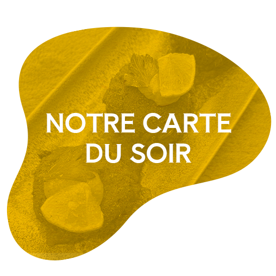 La Sauterelle - Restaurant vegan Toulouse - Bar cocktails Toulouse