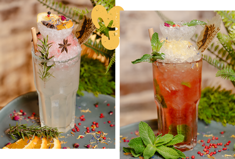 Le restaurant - La Sauterelle - Restaurant végétarien Toulouse - Restaurant Toulouse Carmes