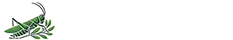 La Sauterelle